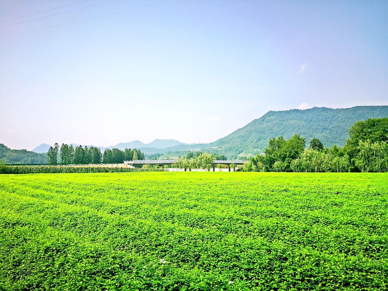 西河