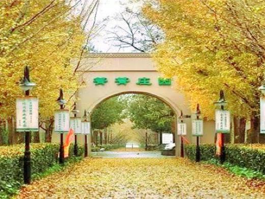 箐箐庄园