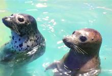 天外景丰海洋世界景点图片