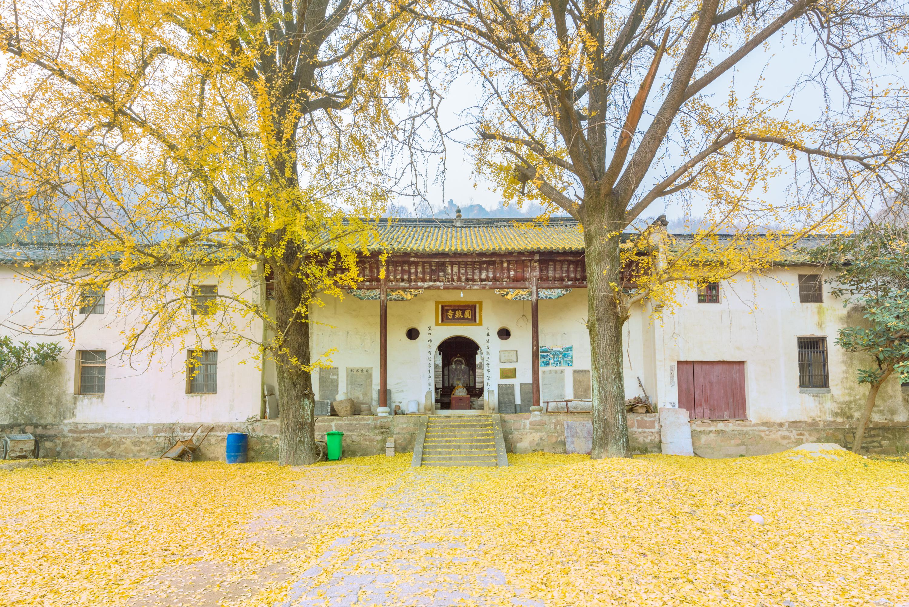 大龙山乌龙溪景区