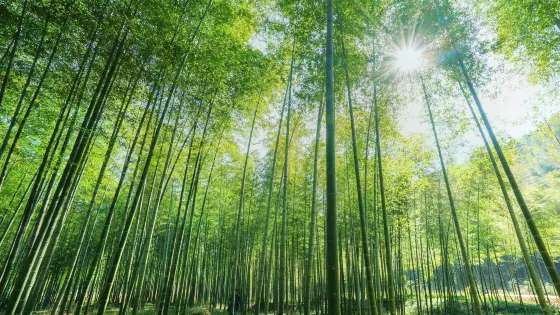 太華山
