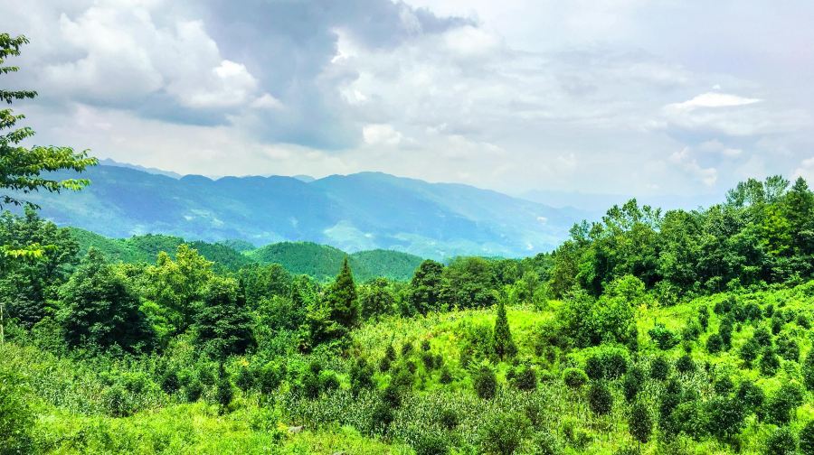 摩围山景区