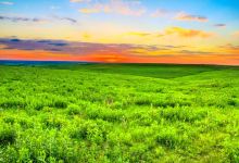 Flint Hills Discovery Center景点图片