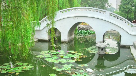 銀雀山漢墓竹簡博物館