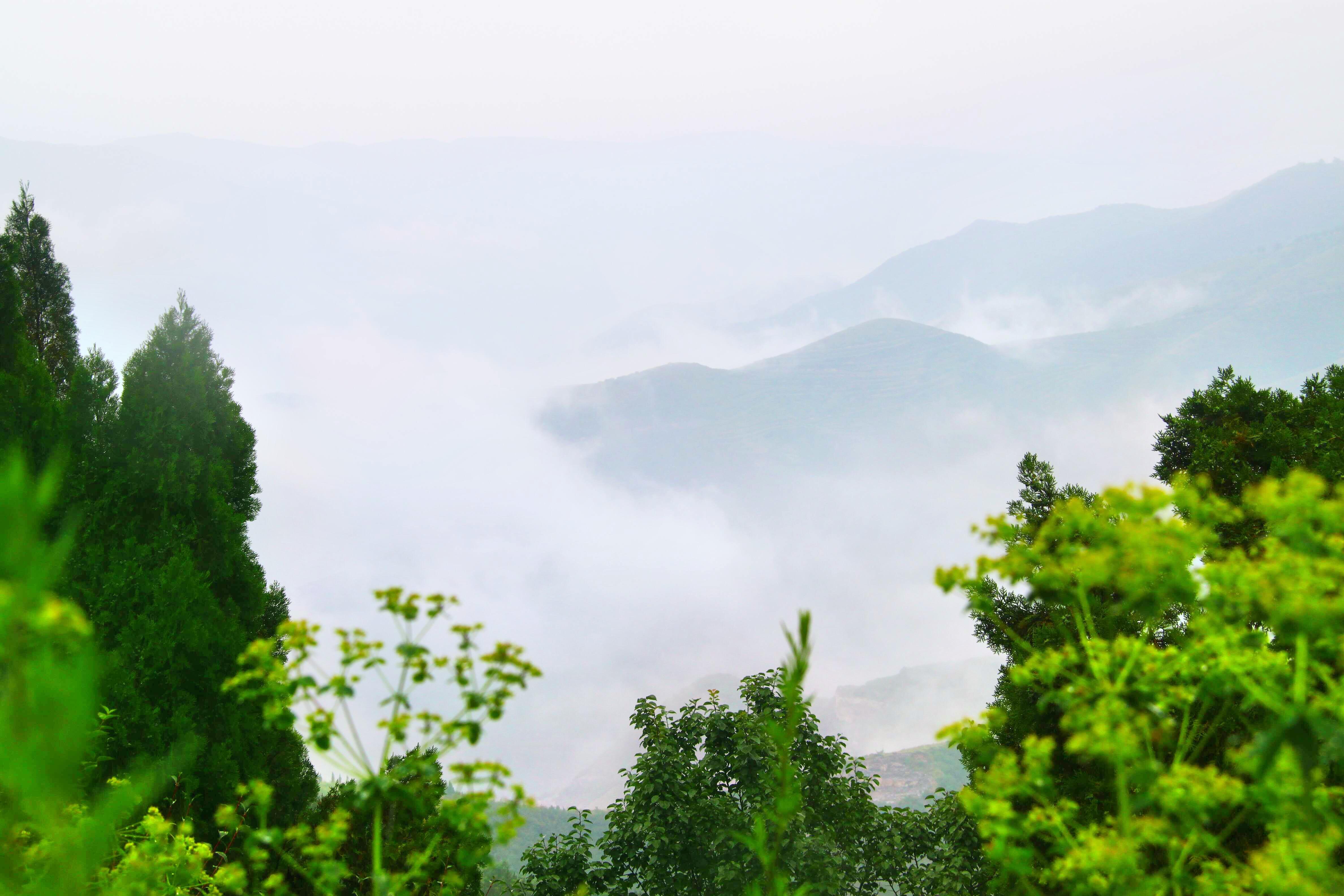 金粟山森林公园