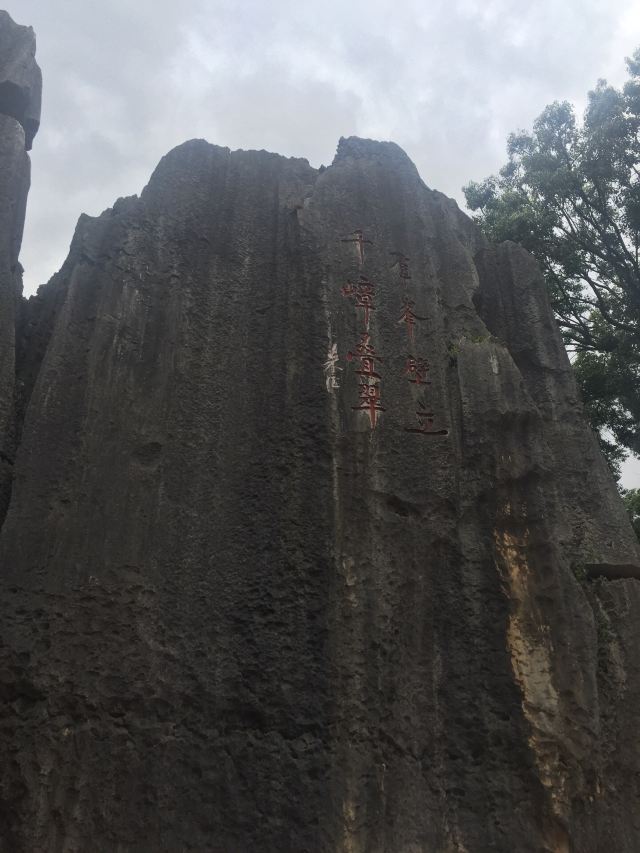 乃古石林风景区旅行图片 3