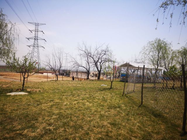 青草坡香草园旅行图片