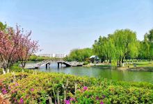 岳屏公园景点图片