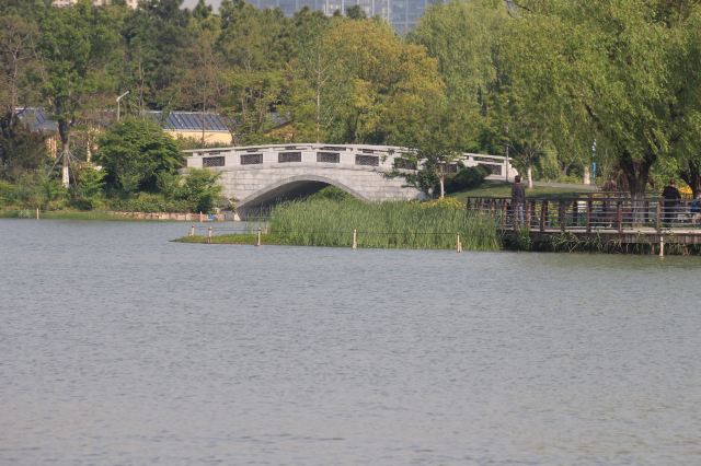 昆山市城市生态森林公园旅行图片 8