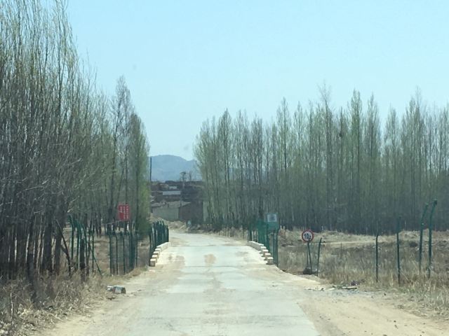 方山永固陵旅行图片 14