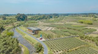 成都 | 返蒲归真，只想在明月村当一个快乐的小村妇