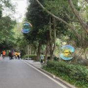 石门公园旅行图片 1