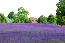 斯卡吉山谷-斯卡吉特县-DEAR张小球