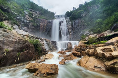 浙江天台山游记图片] 游“中华第一高瀑”天台山大瀑布，看千年古树云锦杜鹃王