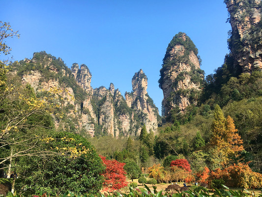 湖南张家界：三千奇峰，八百秀水，大自然的奇迹