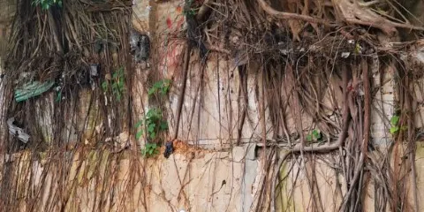 學生街城市廣場