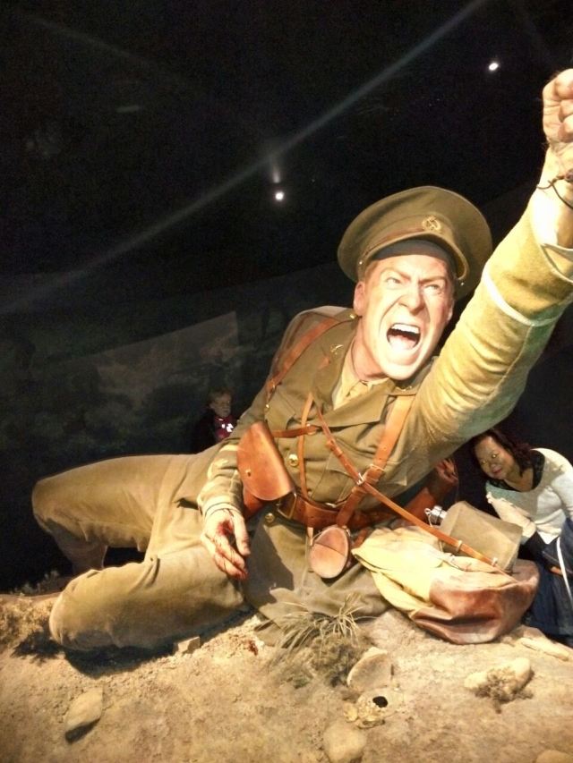 Museum of New Zealand (Te Papa Tongarewa)