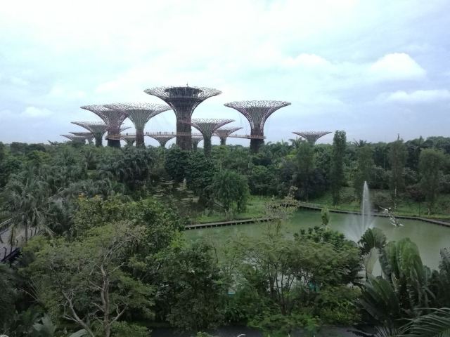 新加坡濱海灣花園
