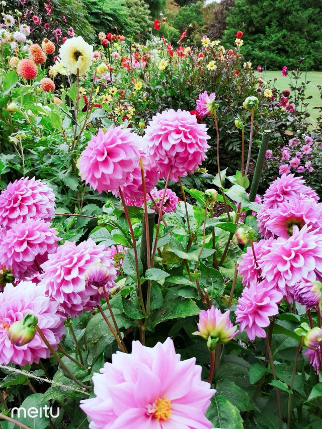 基督城植物園