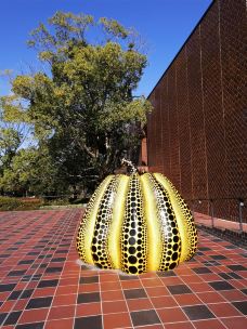 大濠公园-福冈-一帆风顺