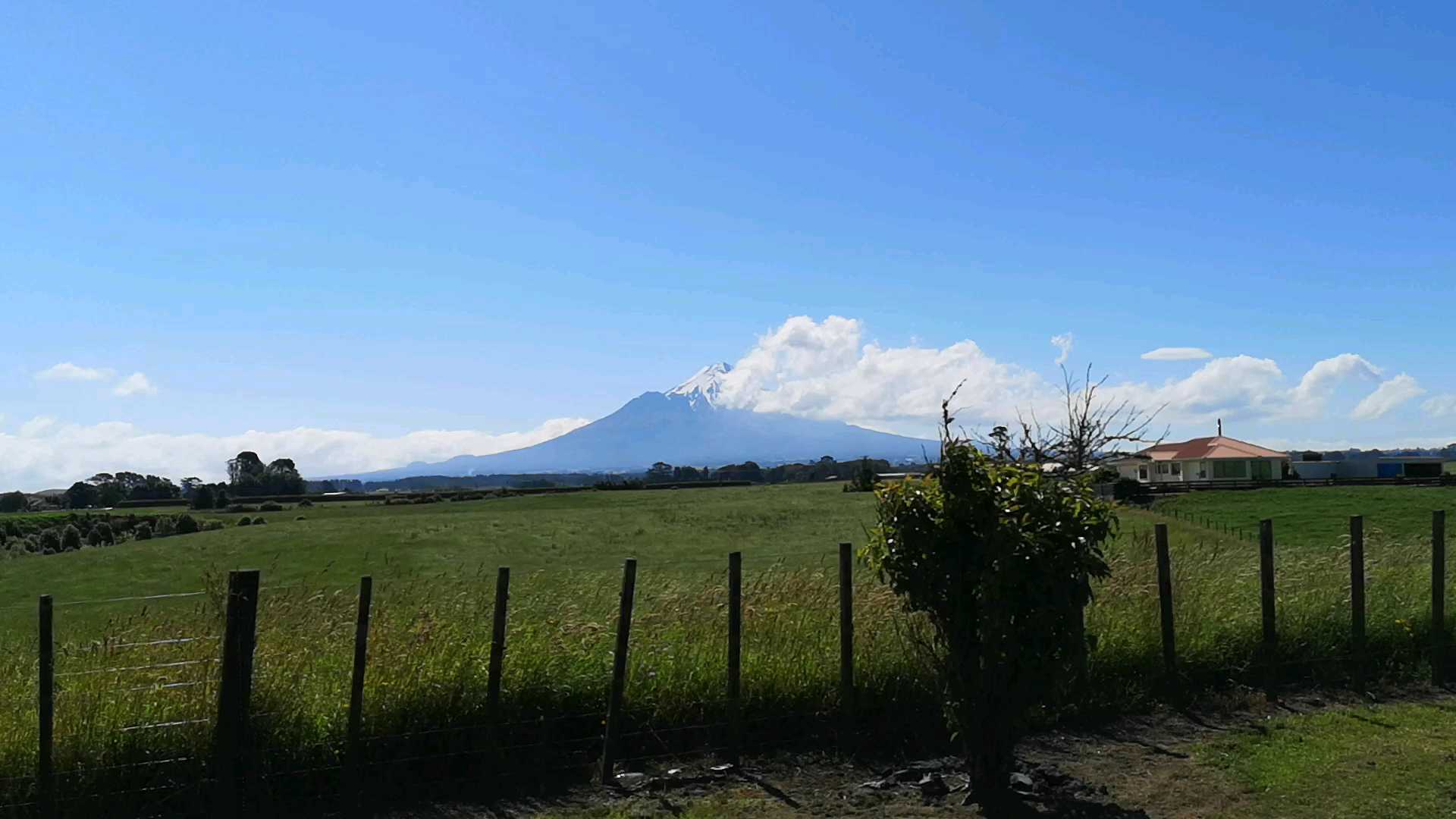 美丽的mt taranaki，新西兰的富士山。