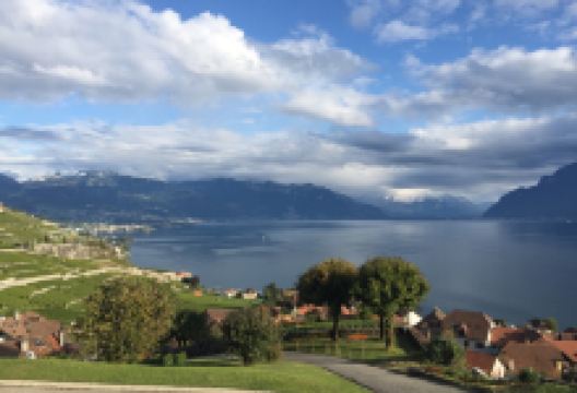 Le Mazot美食图片