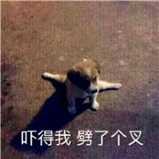 臂泯灭在阳光下的钕银