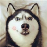 山丹丹开花红颜颜