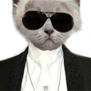 柠檬草的味道蓝了夏天