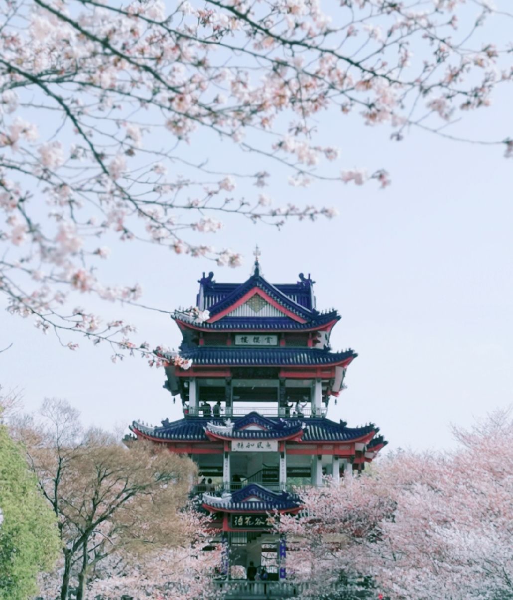 星光灿烂