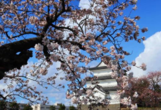 新发田城景点图片