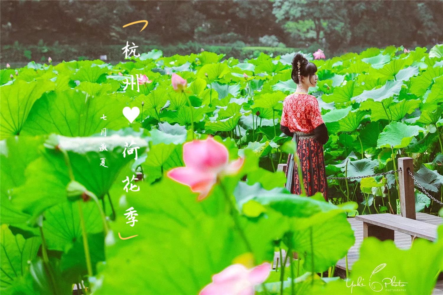 每年一入夏，醉人的西子湖展开了一幅“”接天莲叶无穷碧，映日荷花别样红的画卷。杭州四季皆美，夏季尤为娇