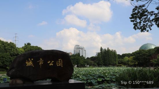 City Park