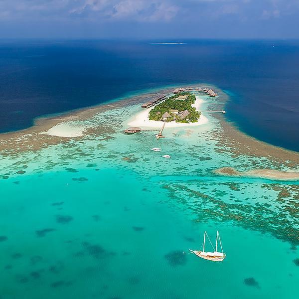 蜜莉喜岛 | 马尔代夫浮潜天堂，蜜月首选   我总结的一些岛屿小亮点： 1.蜜莉喜岛的自然环境得天