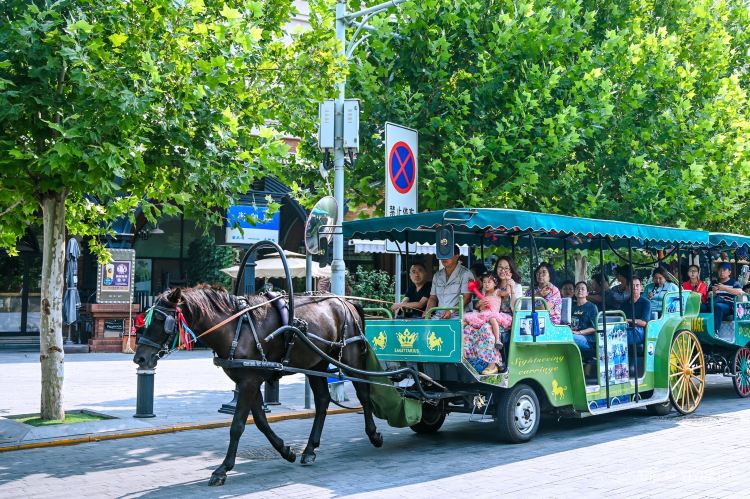 Five Avenue (Architectural diversity, historical residences)