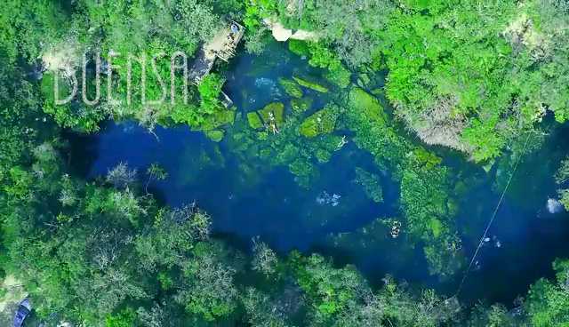 玛雅天然井，游泳超爽。墨西哥尤卡坦半岛。在茂密丛林中的天然井，清澈透亮。在其中舒坦的漂浮或是跳的水。