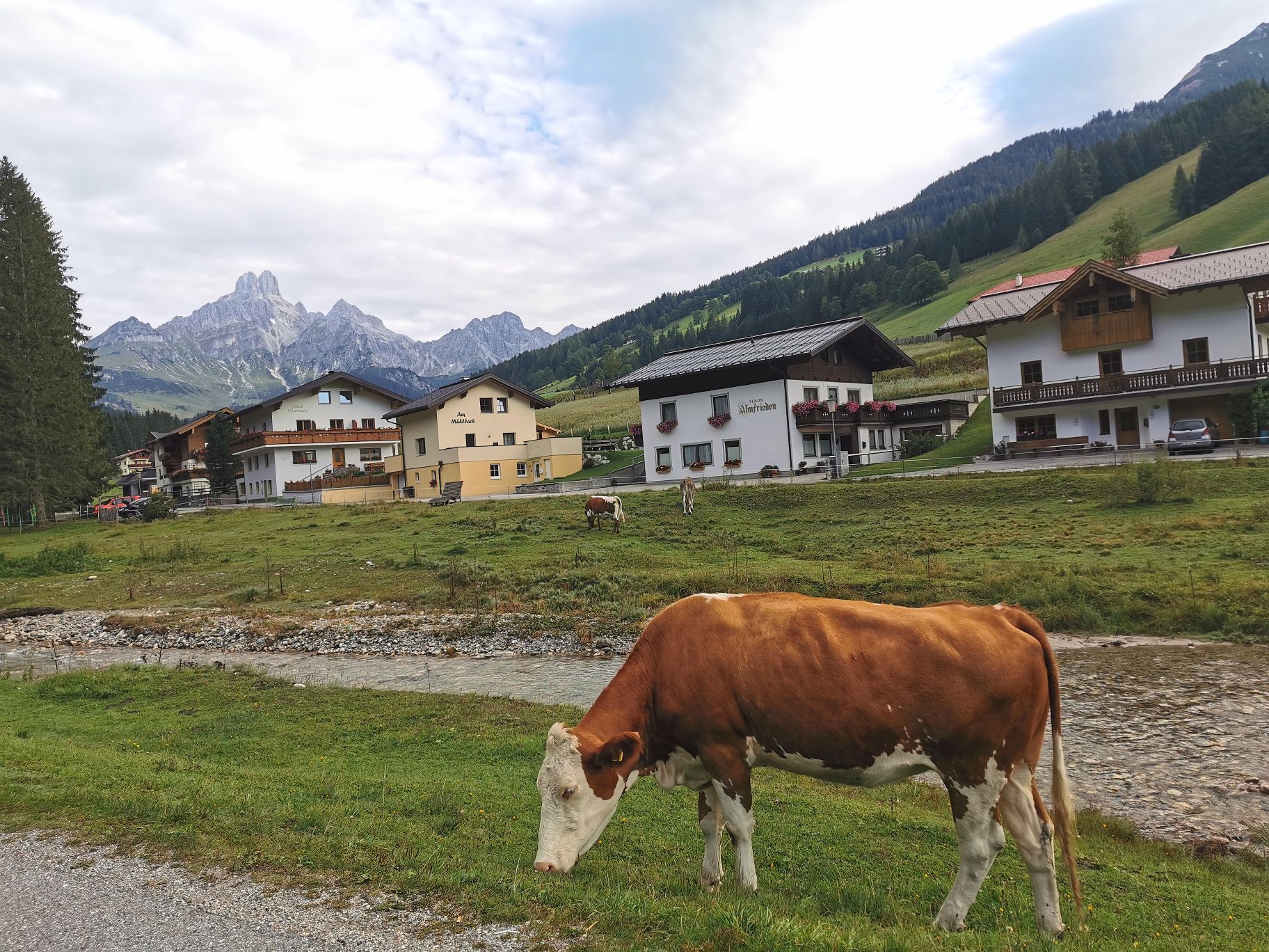 每个湖边小镇都是一幅画 来了不想走 超级羡慕阿尔卑斯山脚的牛🐂   喝着纯天然的矿泉水 吃着天然的牧