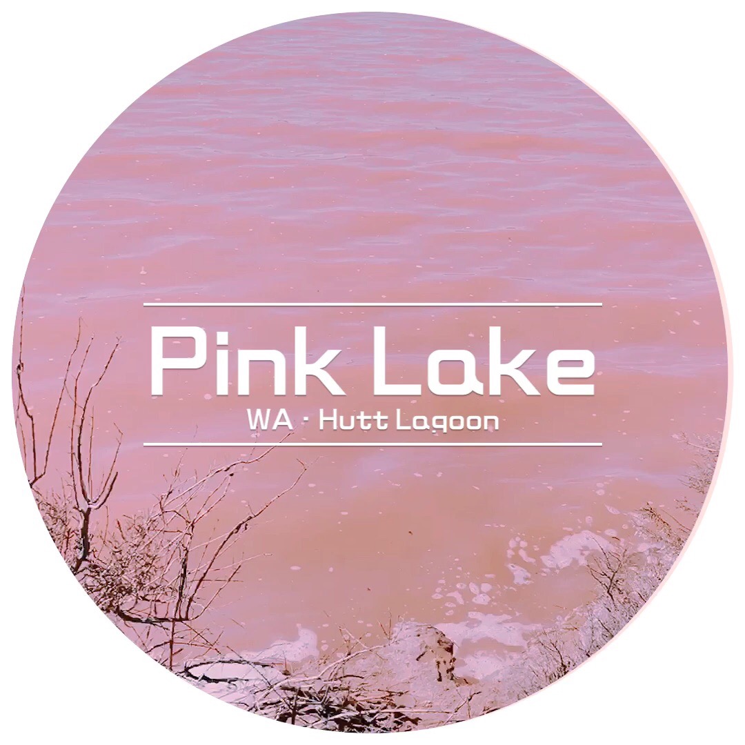 #粉湖#西澳粉湖，超级少女心！粉粉嫩嫩，不信你不被融化😄 位于珀斯北边的粉湖面积最大，一年四季由于温