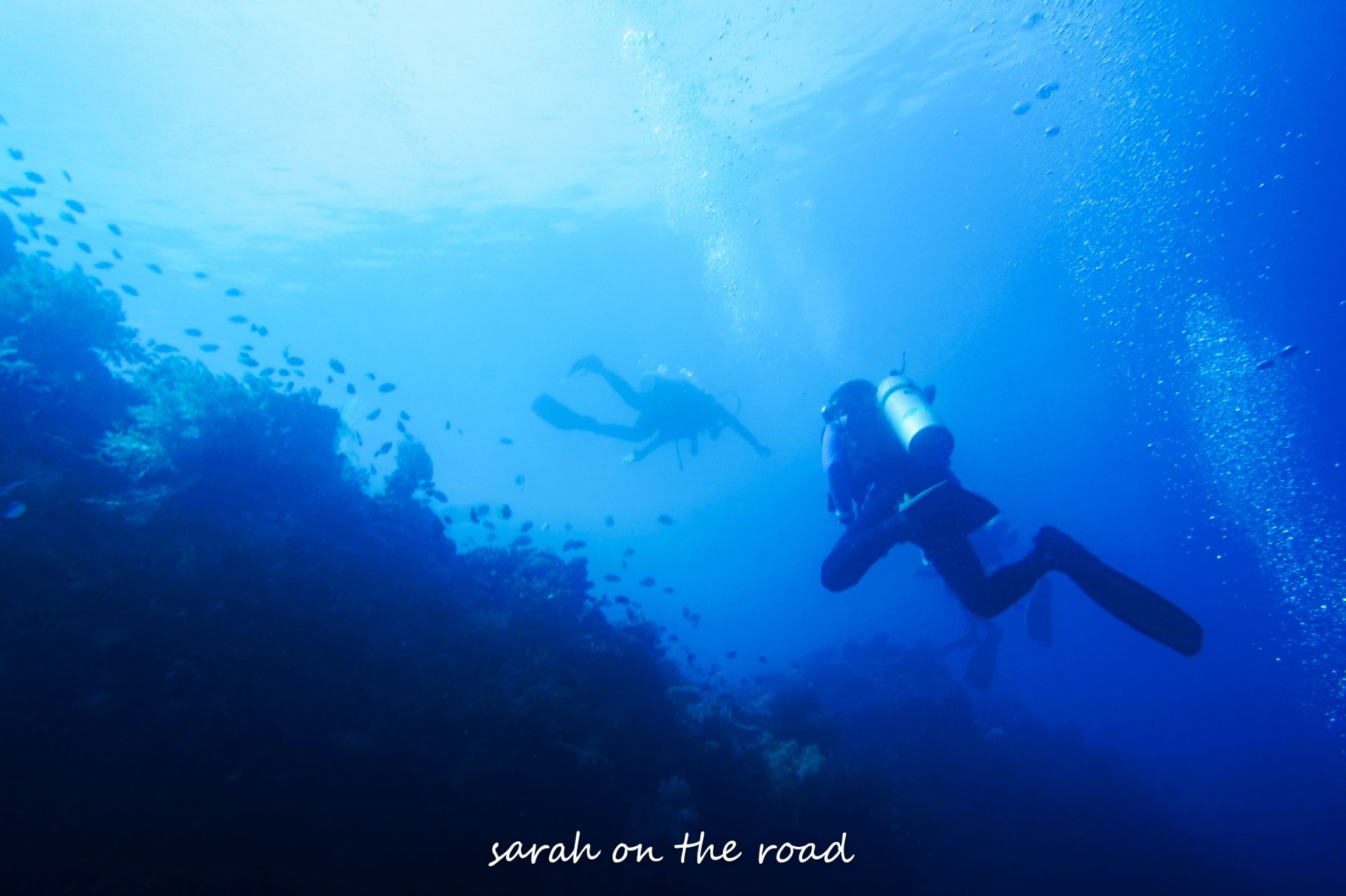潜入深蓝，这里是潜水圣地巴里卡萨，三千米的大断层，断崖岩壁是壮观的珊瑚群，从薄荷岛坐船大约40分钟，