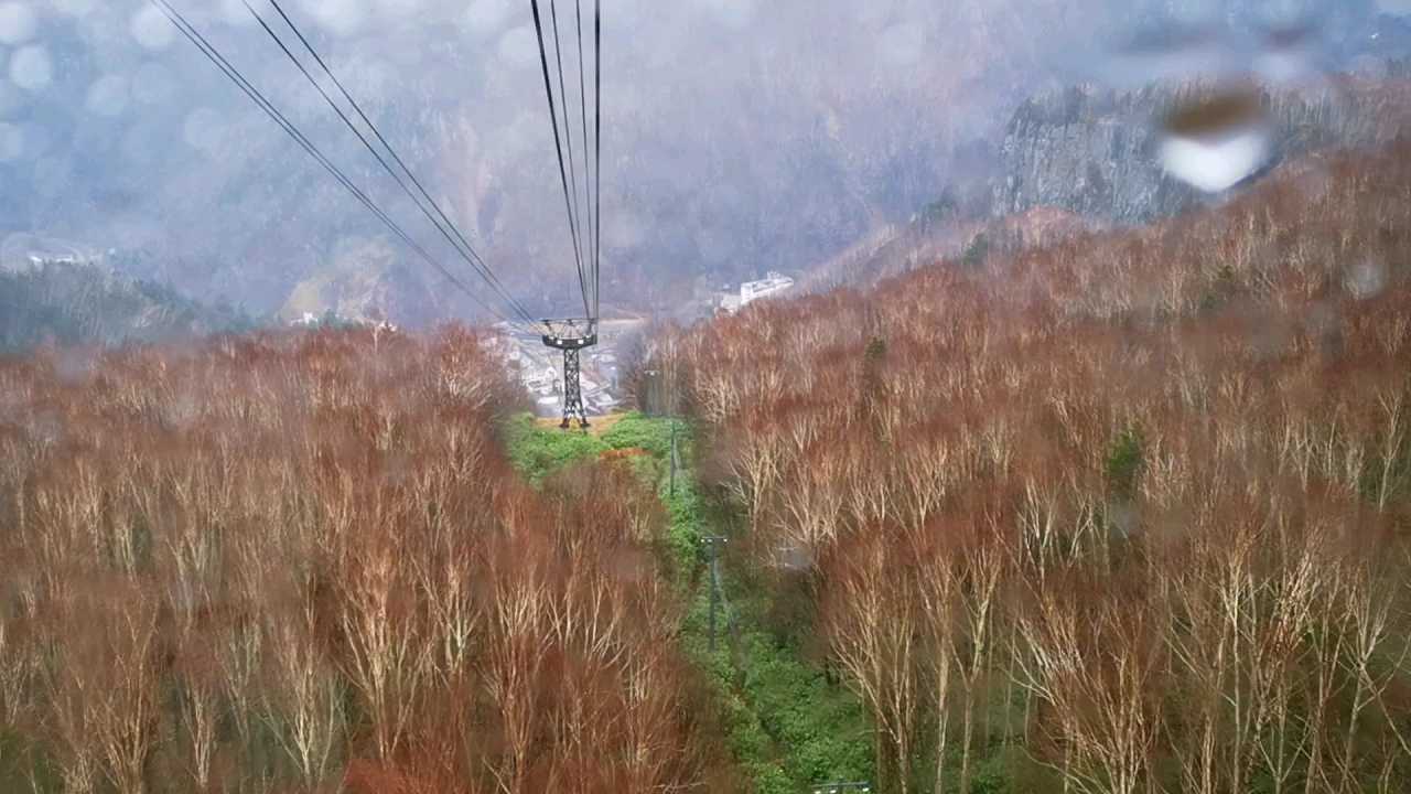深秋，在日本.北海道，乘层云峡“黑岳缆车”，下山时，随拍，山林风景！