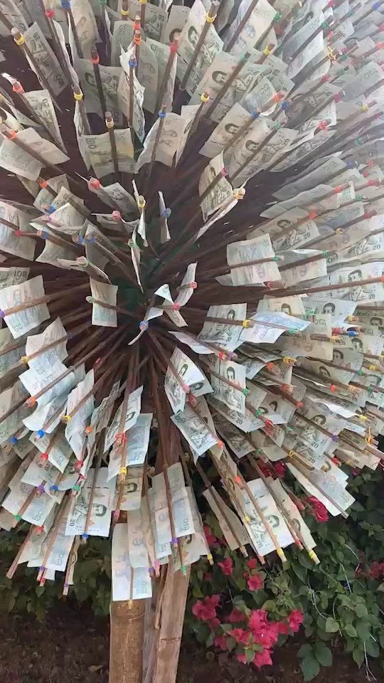 庆祝新年寺庙的money tree