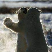 竹本无心奈何节外生枝