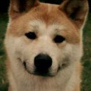 郭郭中的战斗郭郭