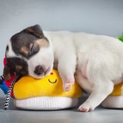 哟今时不同往日