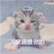 蹲之雪菜版的小屋