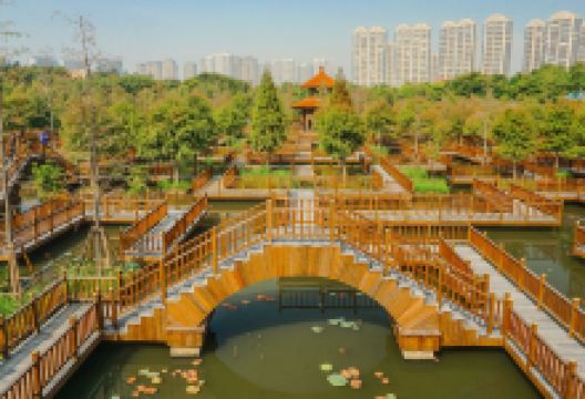 五缘湾湿地公园景点图片