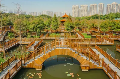 五缘湾湿地公园