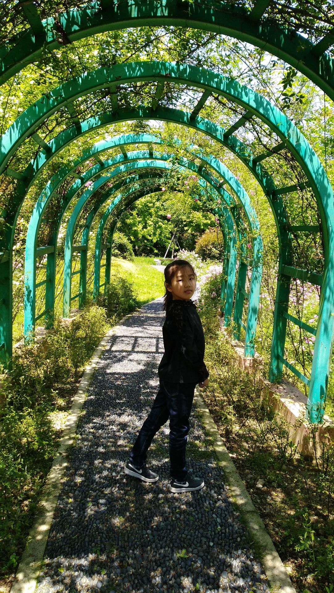 温岭市植物园
