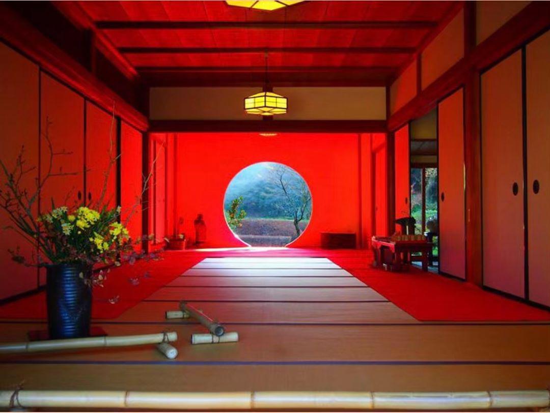 日本寺庙里最美的窗户—紫阳花寺院    🏘日本的明月院又叫紫阳花寺，听说最著名的是醒悟之窗，据说看着