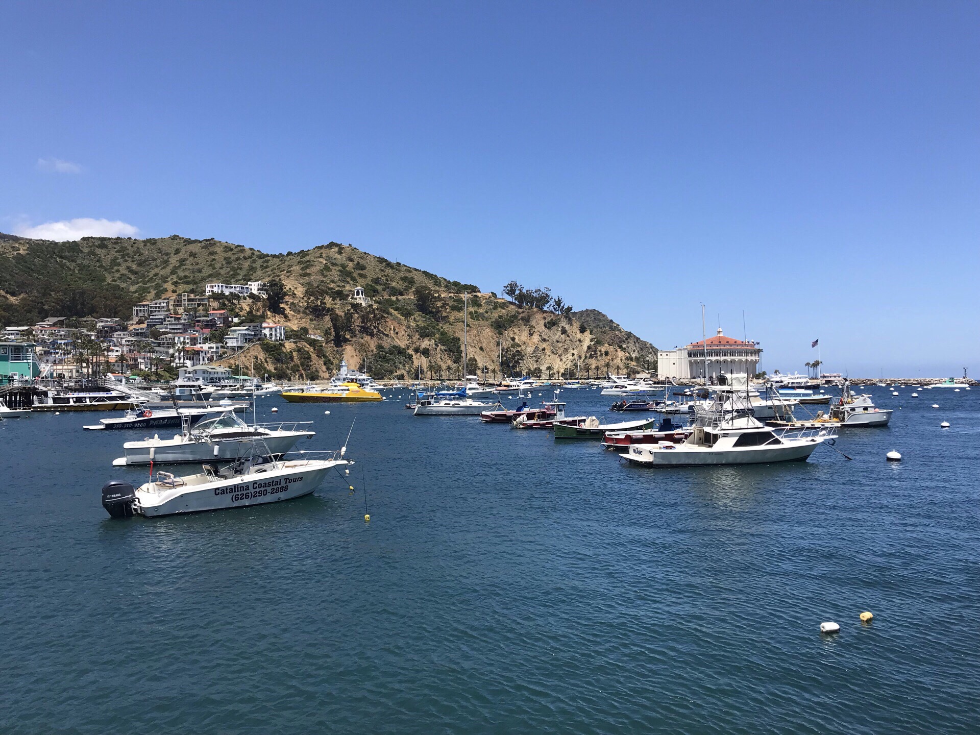 卡特琳娜岛(Catalina Island)是美国加州星罗棋布的沿海岛屿上一颗最灿烂的明珠。Cata